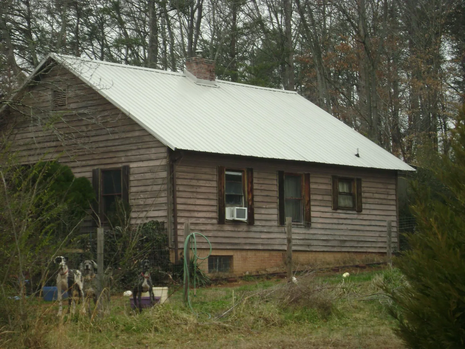 White metal roof on an old wood sided farmhouse, from a Asphalt Shingle Roof Repair job in Holmen